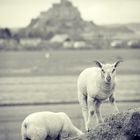 Au Mont-Saint-Michel