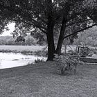 Au Moulin de Boisseguin  -  Vienne