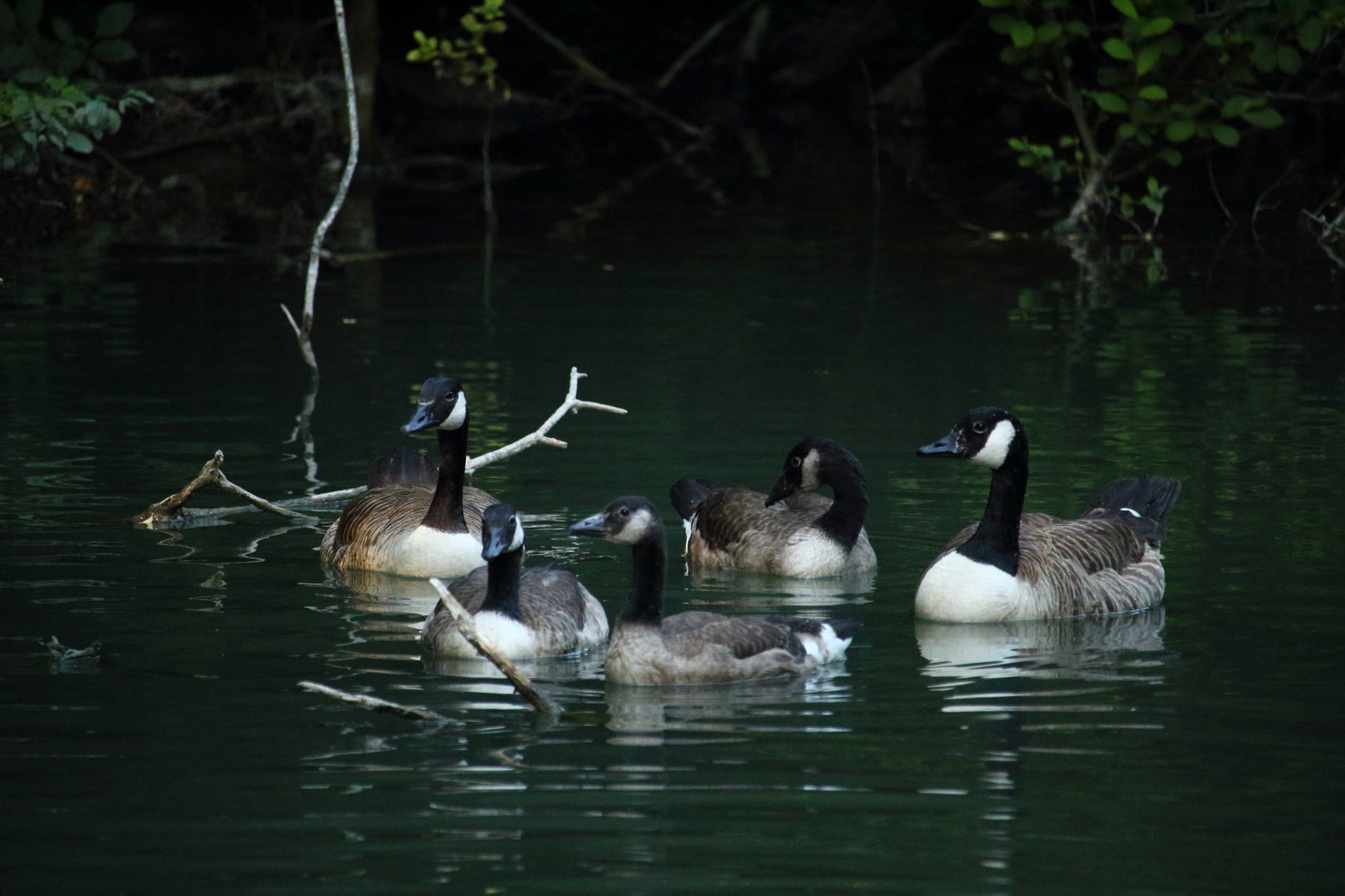 au parc de la glaisière