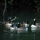 au parc de la glaisière