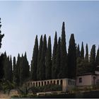 Au parc des Thermes de Sirmione