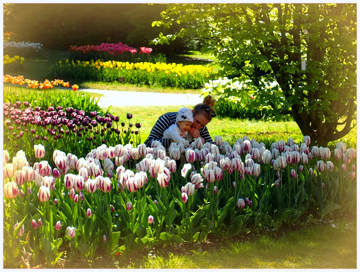au parc des tulipes...