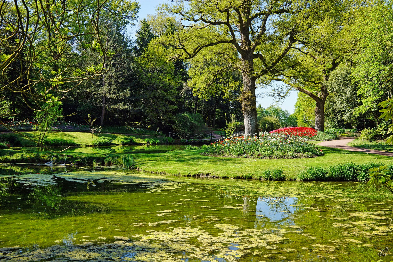 Au parc Foral ....