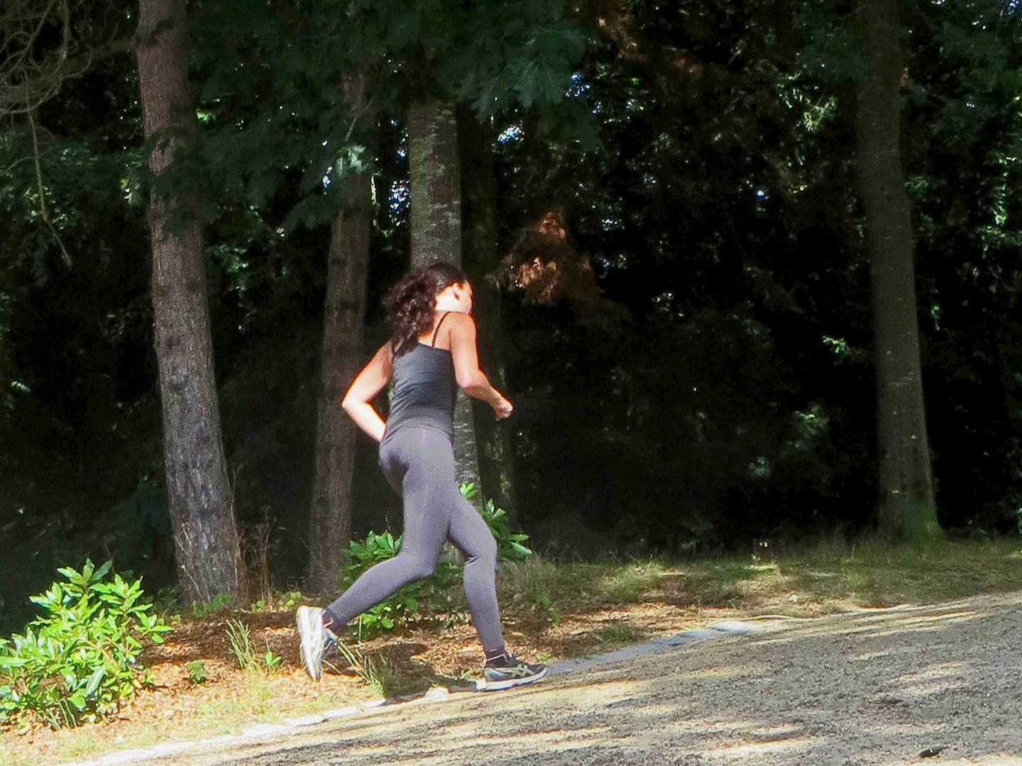 au parc solitaire et glacé, passent les ombres de i'été...