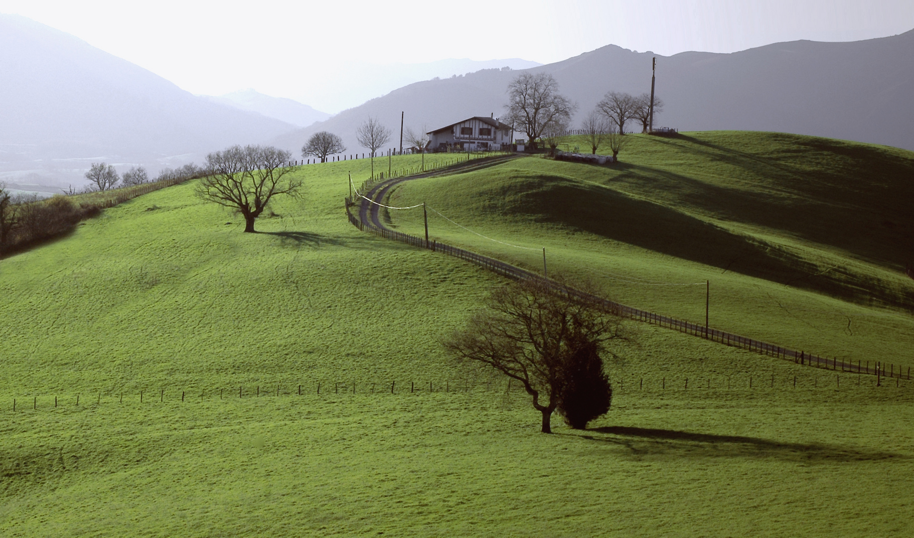 au pays basque