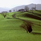 au pays basque