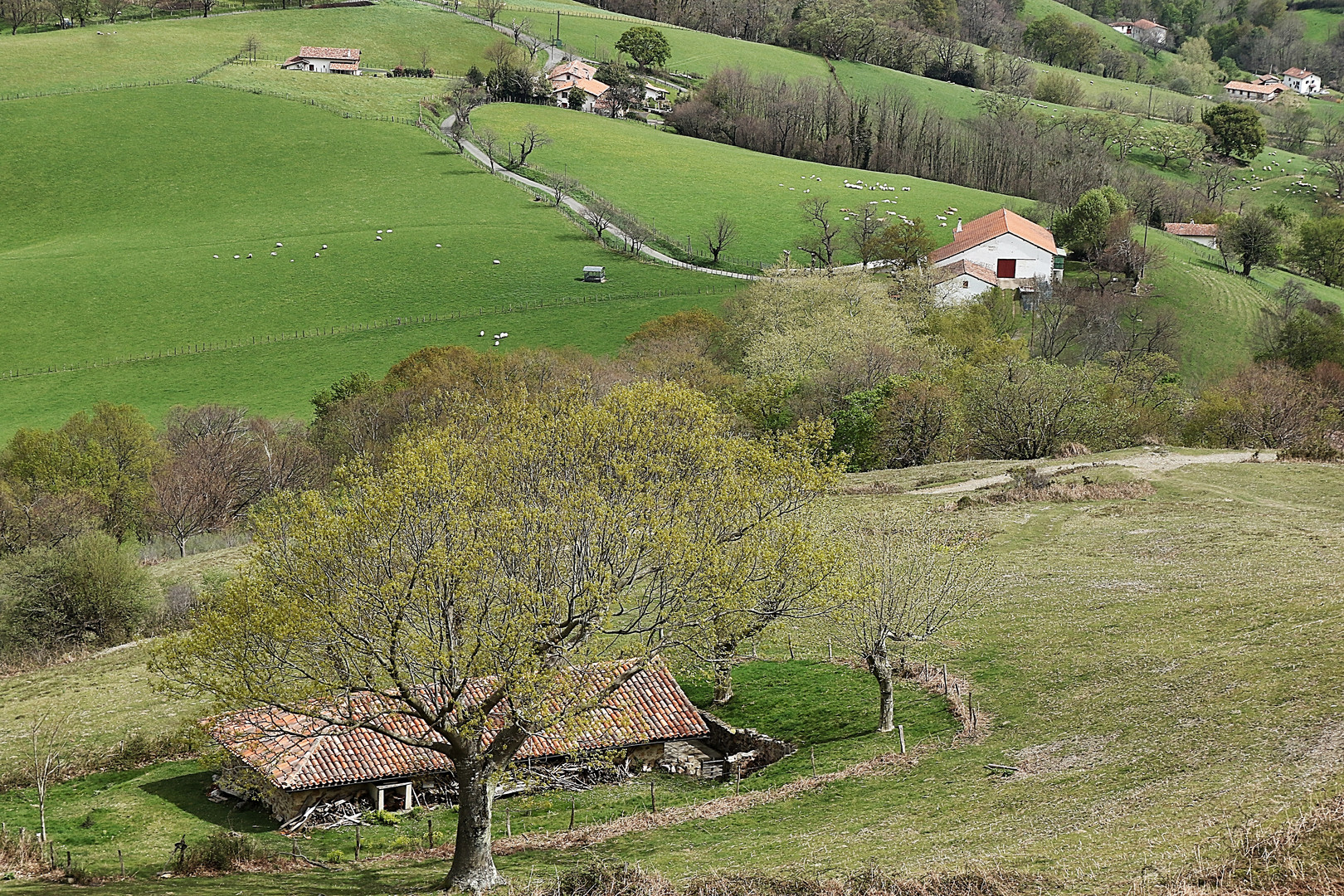 Au pays Basque !