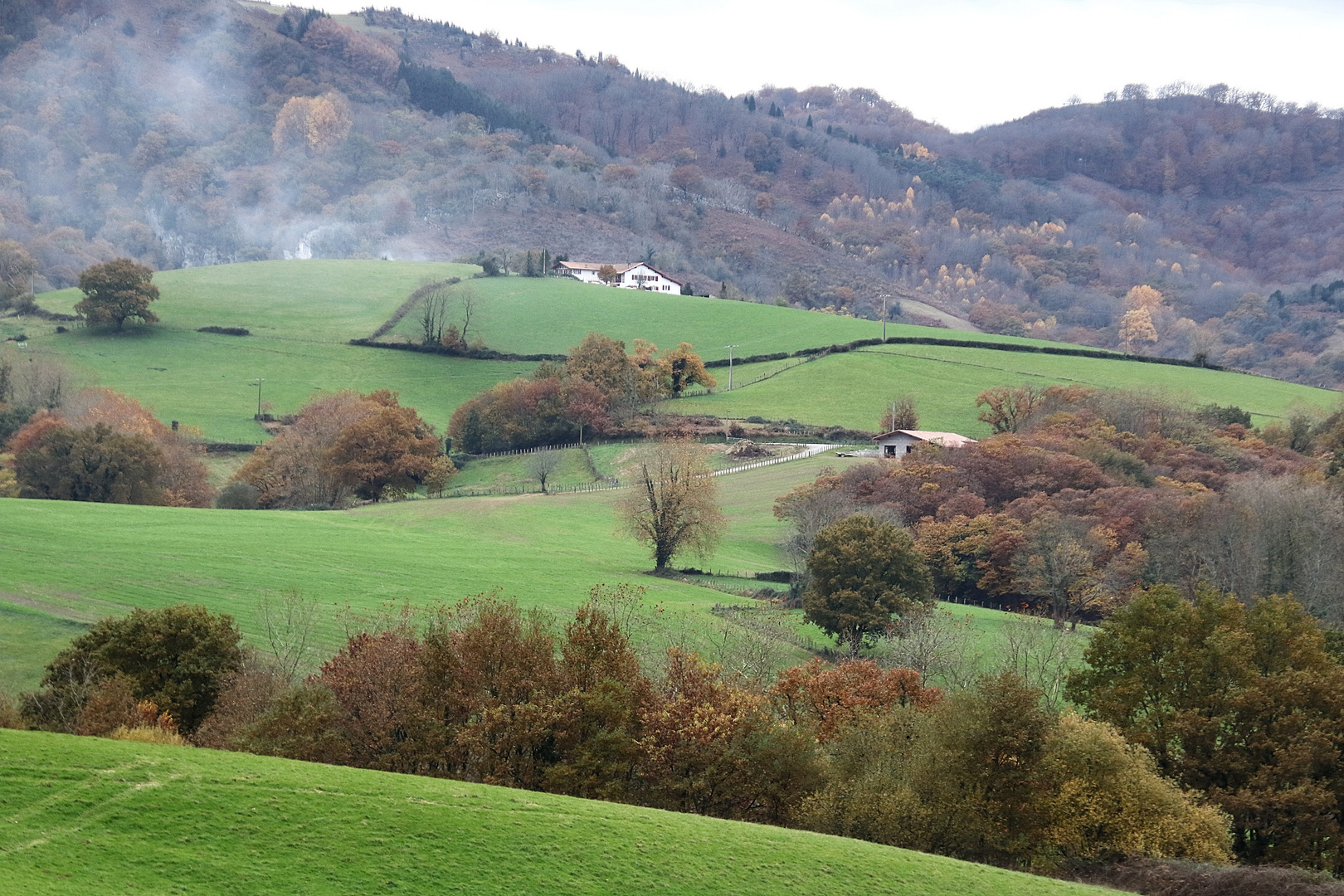 Au Pays Basque (3)