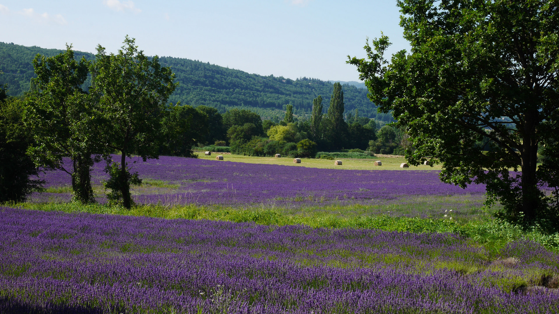 Au pays bleu #Provence