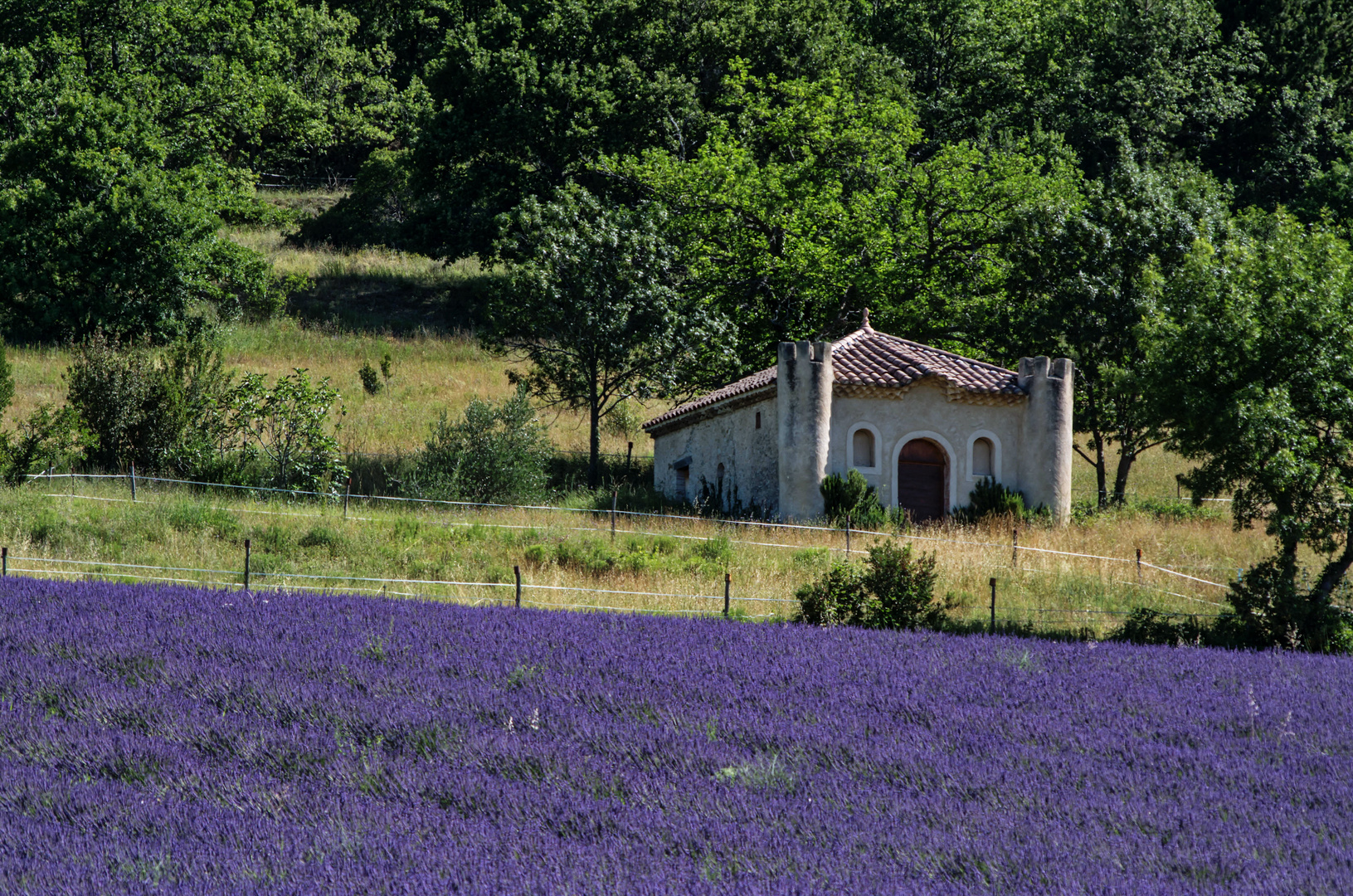 Au pays de la lavande - Drôme provençale