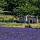 Au pays de la lavande - Drôme provençale