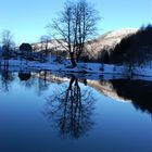 au pays des glace