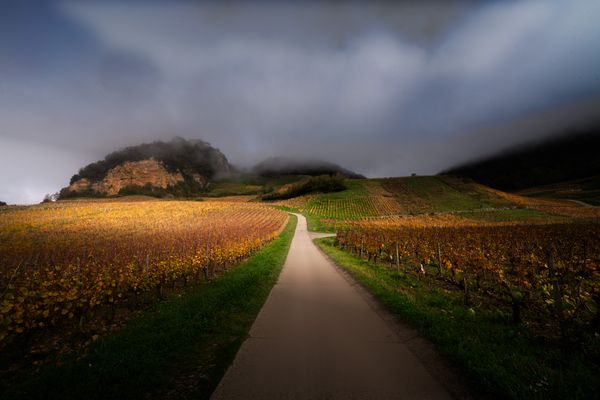 Au pays du vin jaune