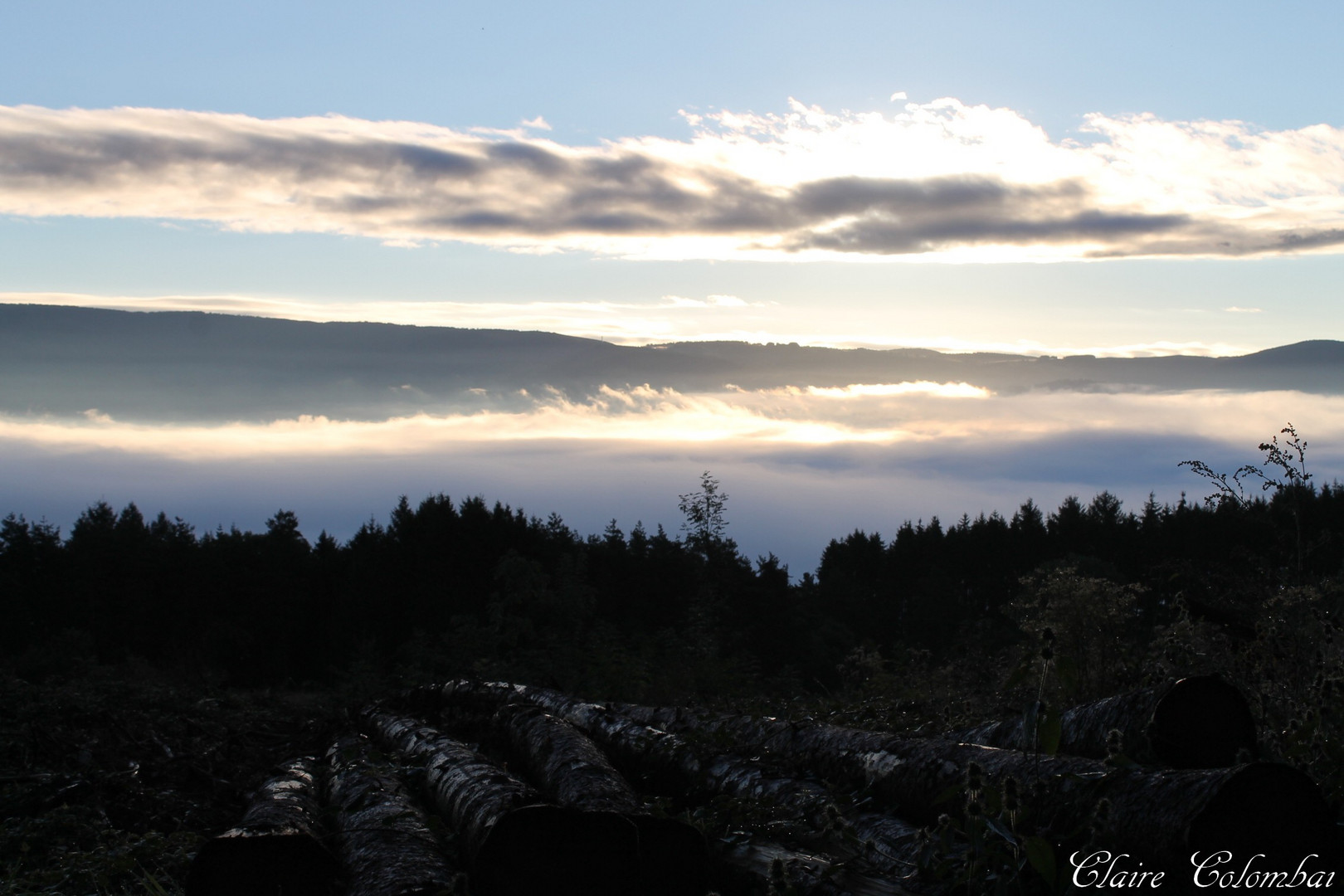 au petit jour