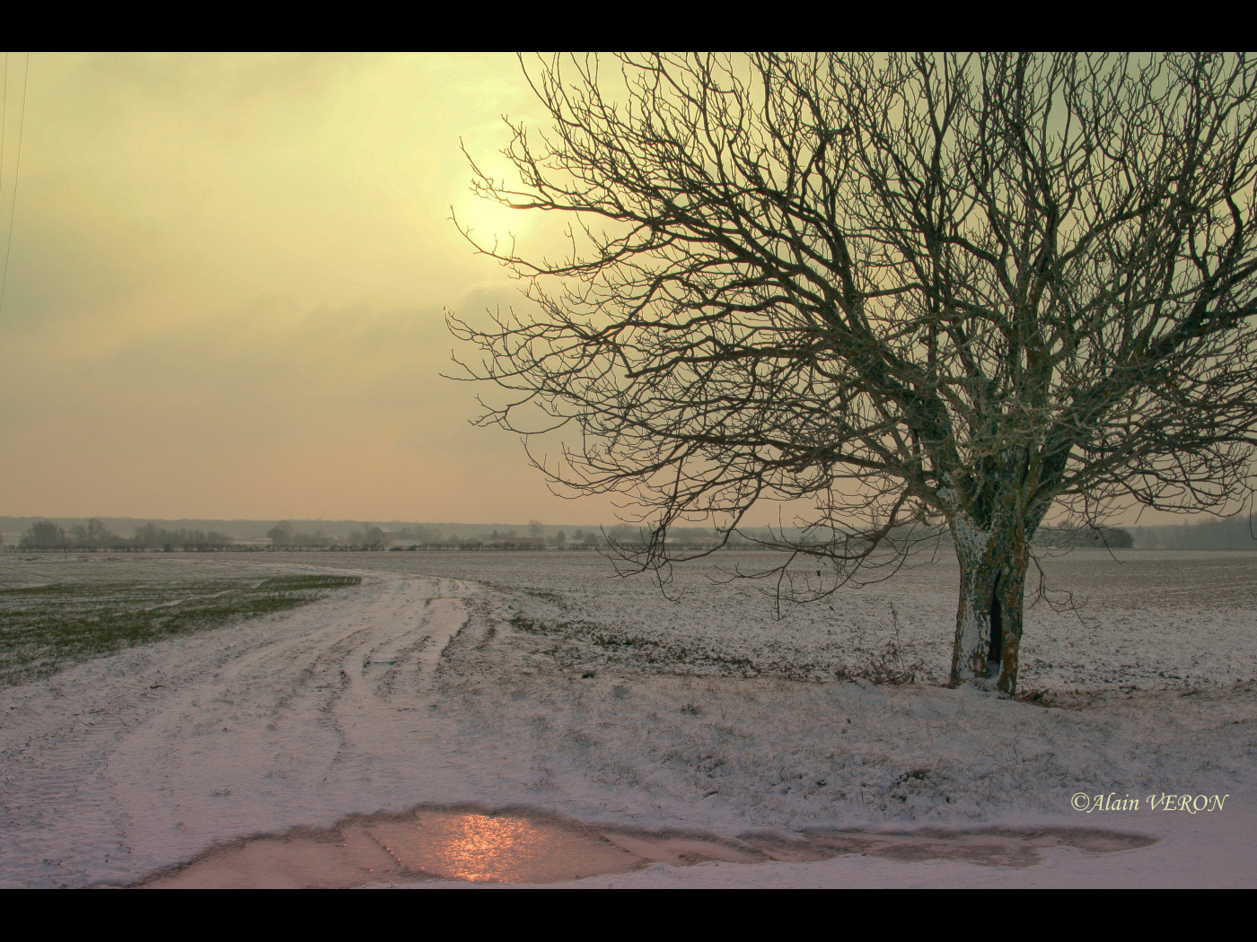 Au petit matin