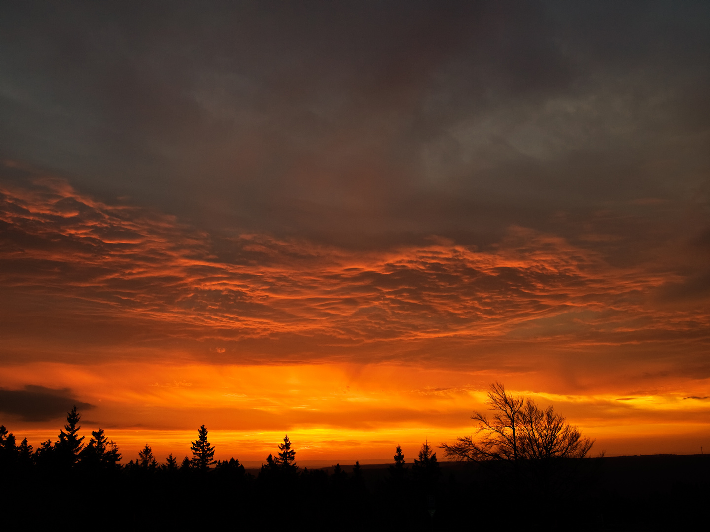 au petit matin