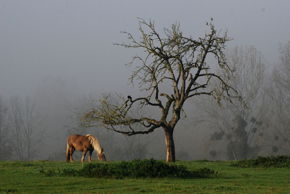 au petit matin