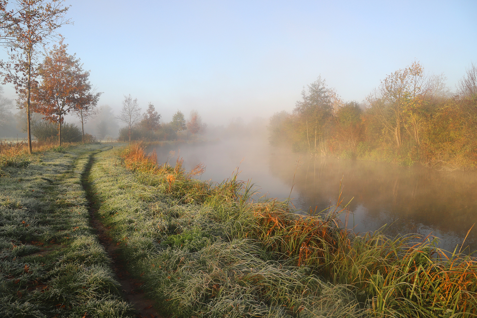 Au petit matin