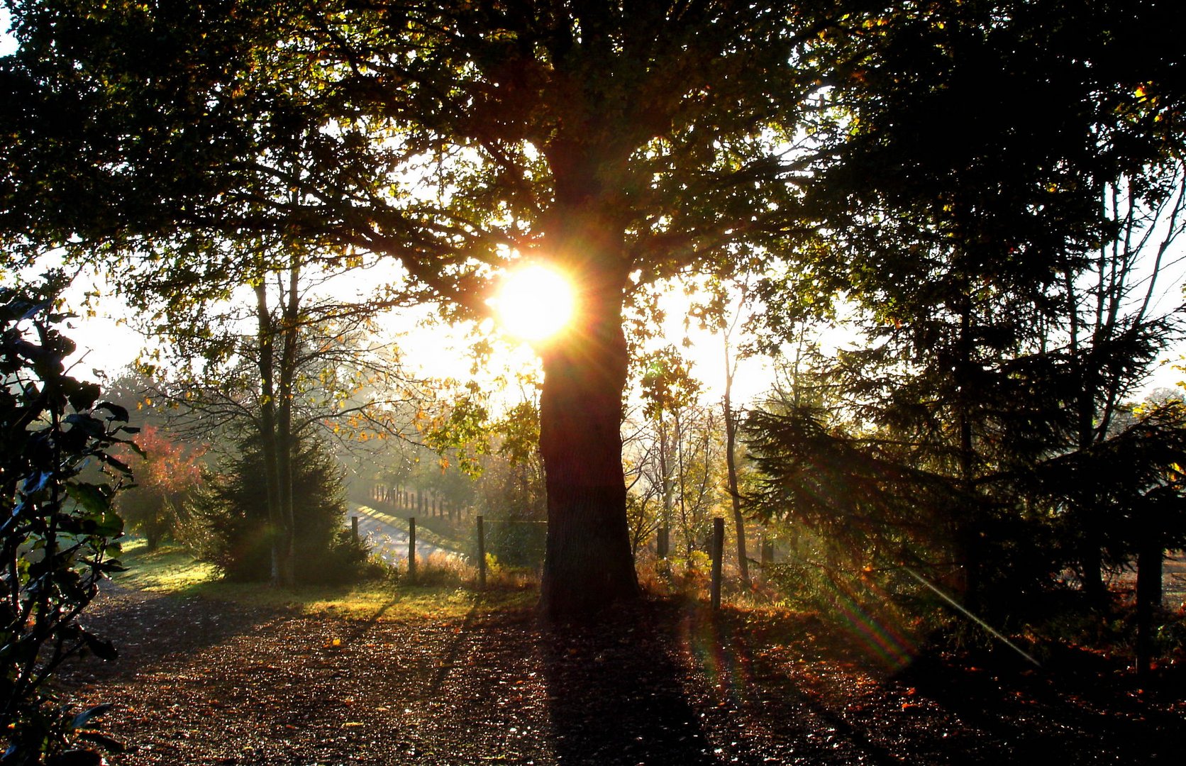 Au petit matin ...