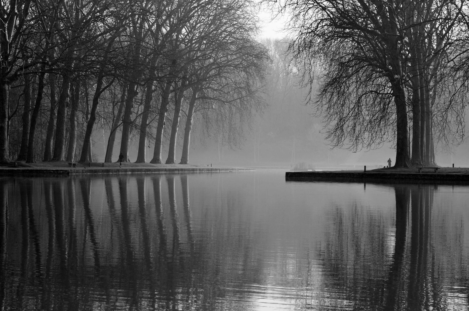 Au petit matin au bord du canal.