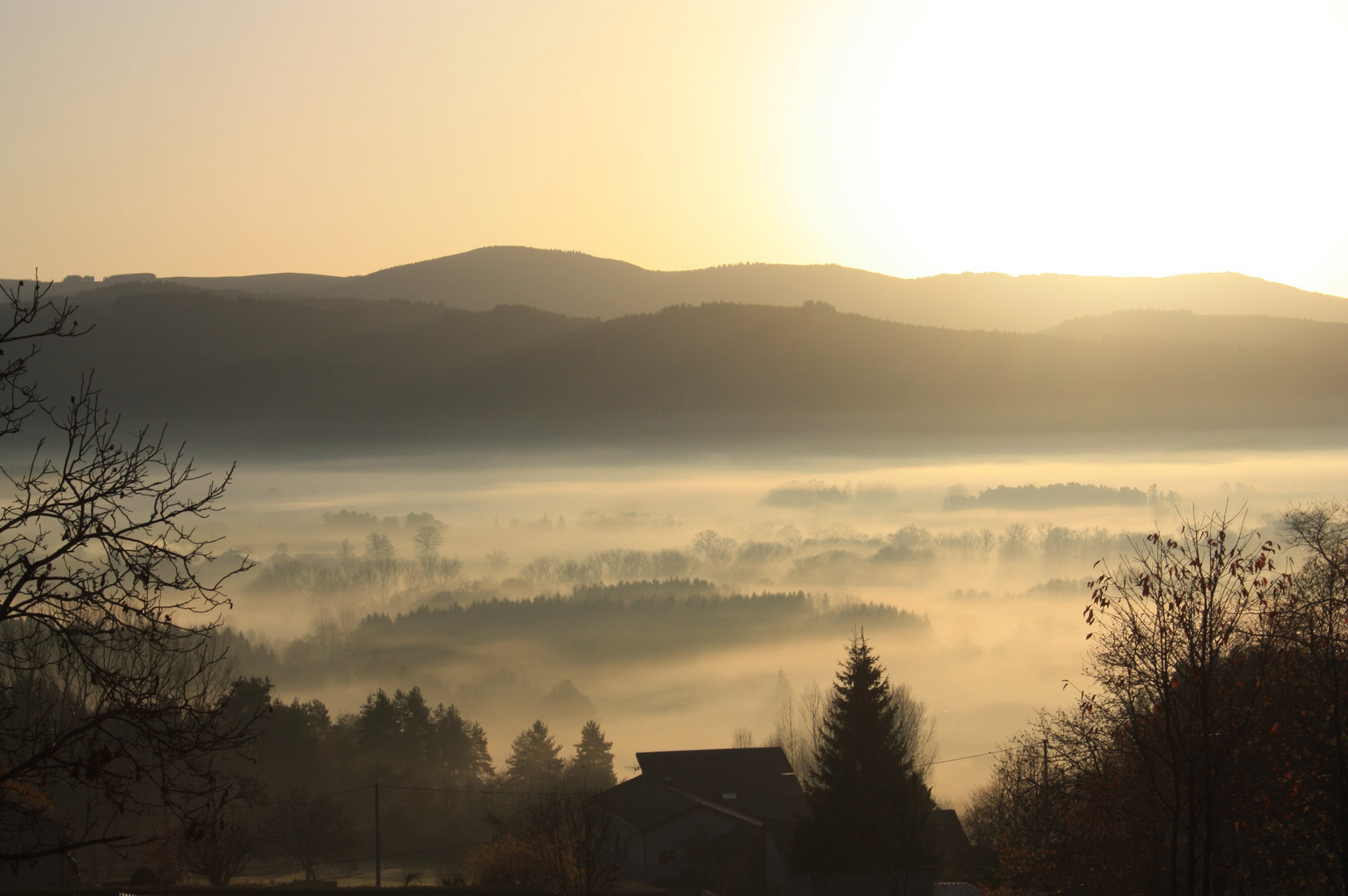 Au petit matin