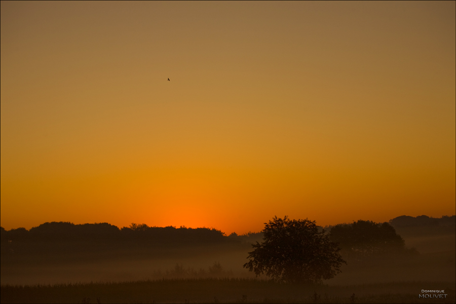 au petit matin dans la campagne....