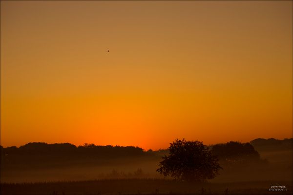 au petit matin dans la campagne....