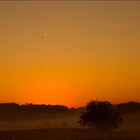 au petit matin dans la campagne....