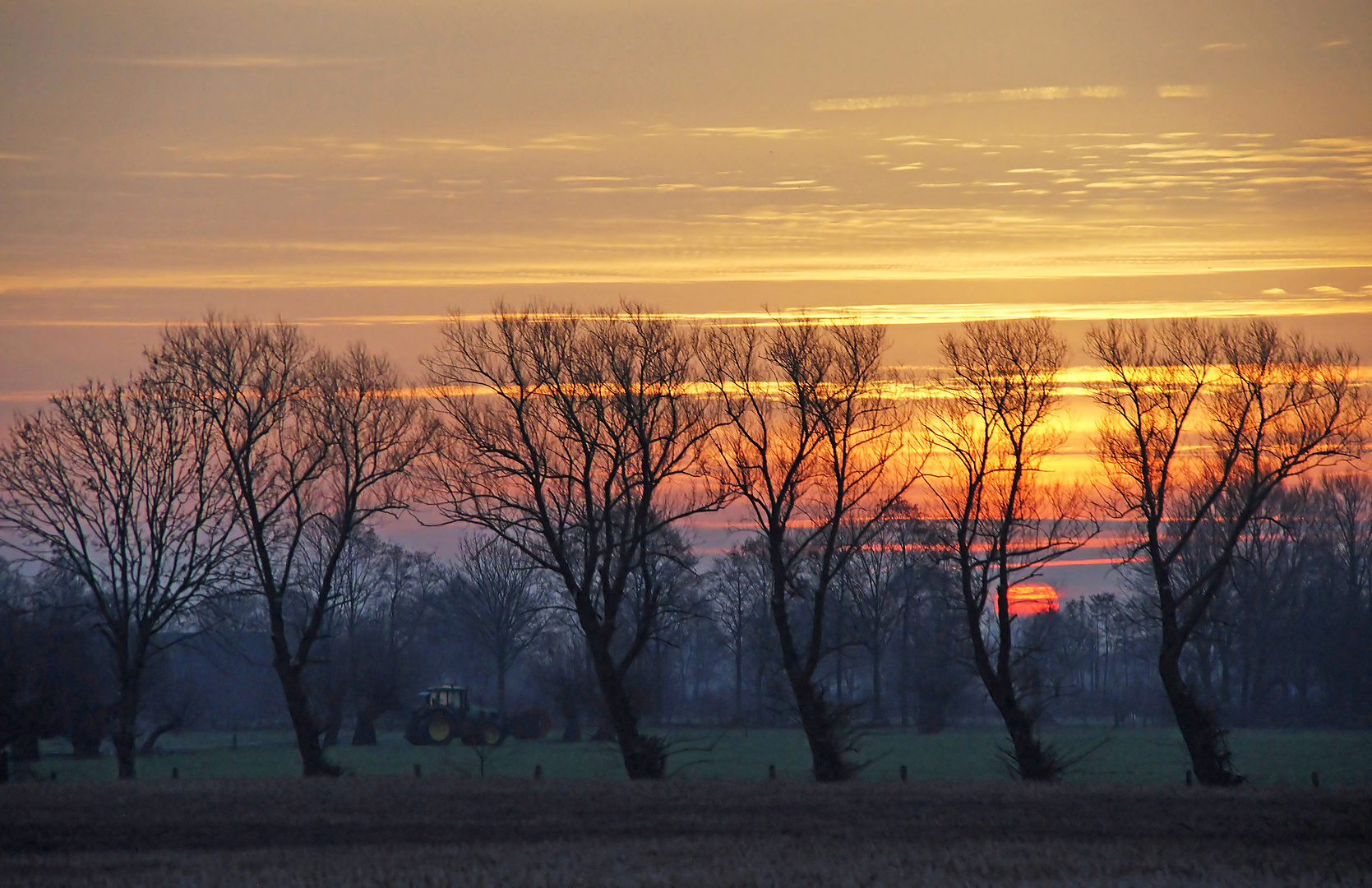 Au petit matin ...