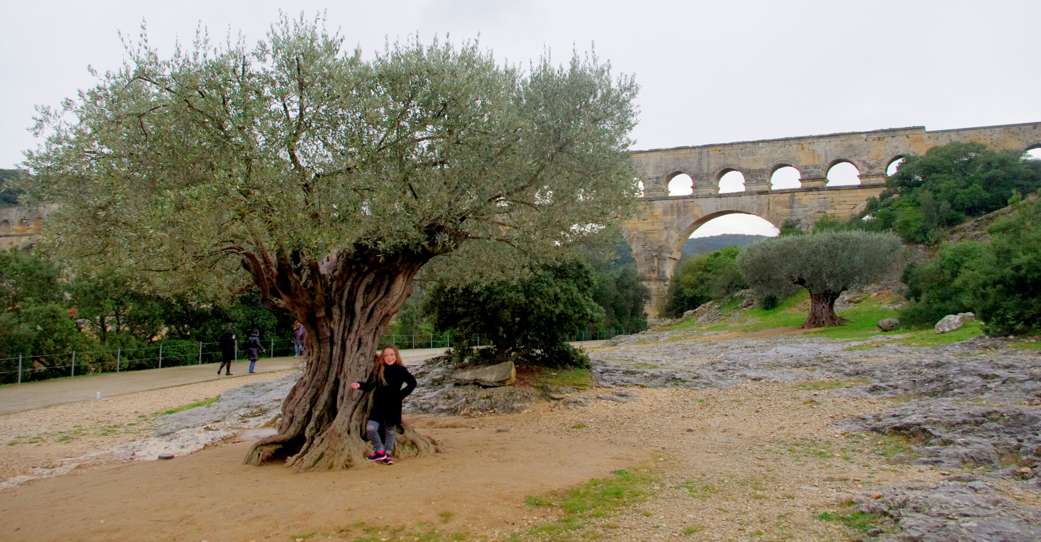 Au pied de mon arbre ...