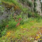 Au pied des remparts de Lectoure