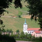 au pied des vignes!