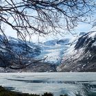 Au pied du glacier Svartisen en Norvège