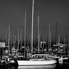 Au Port d'Arcachon...