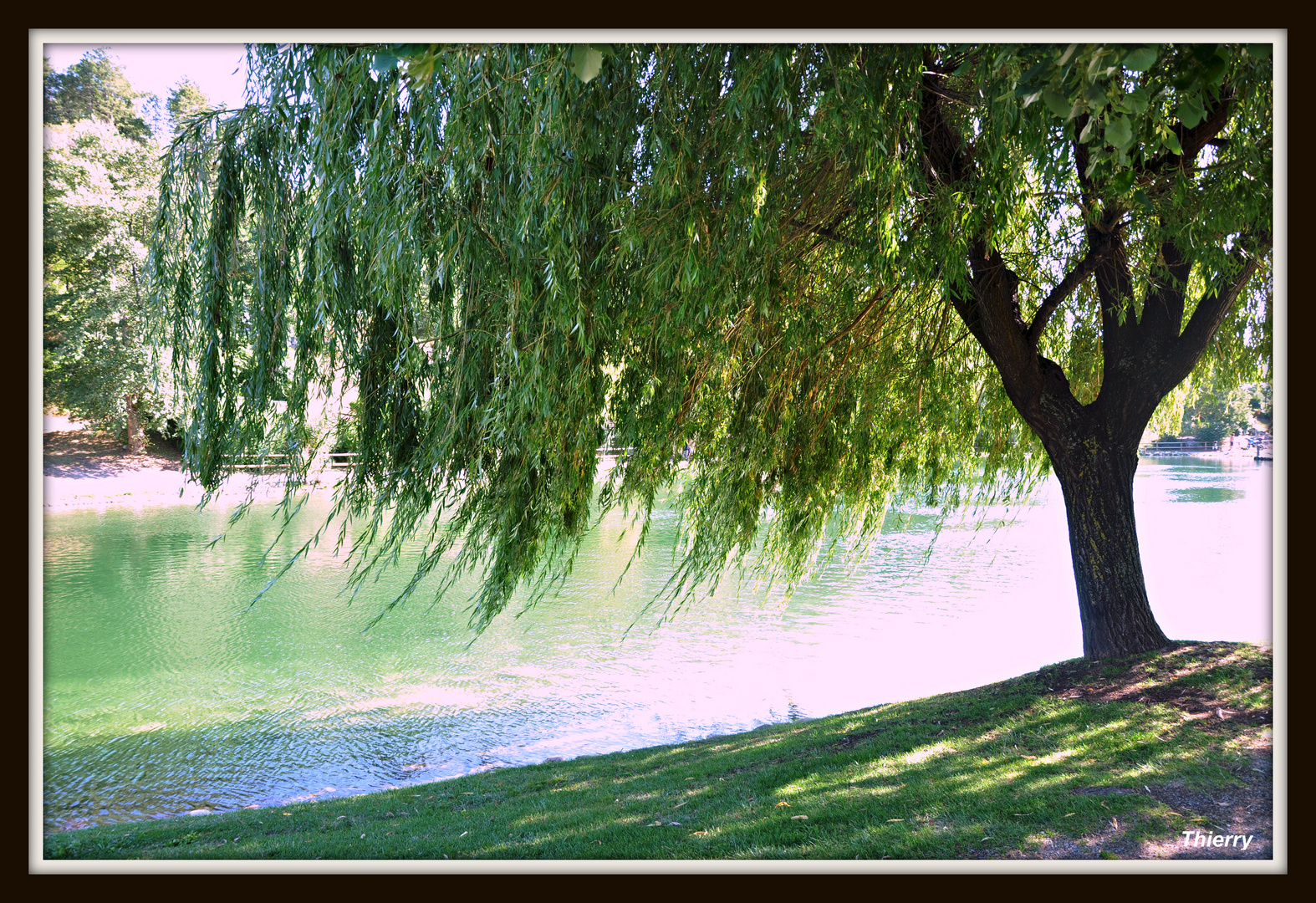 Au prés de mon arbre