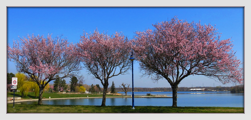 AU PRINTEMPS....