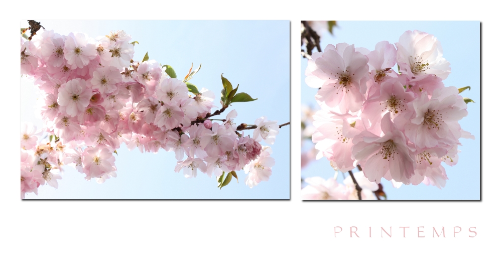 | au printemps |