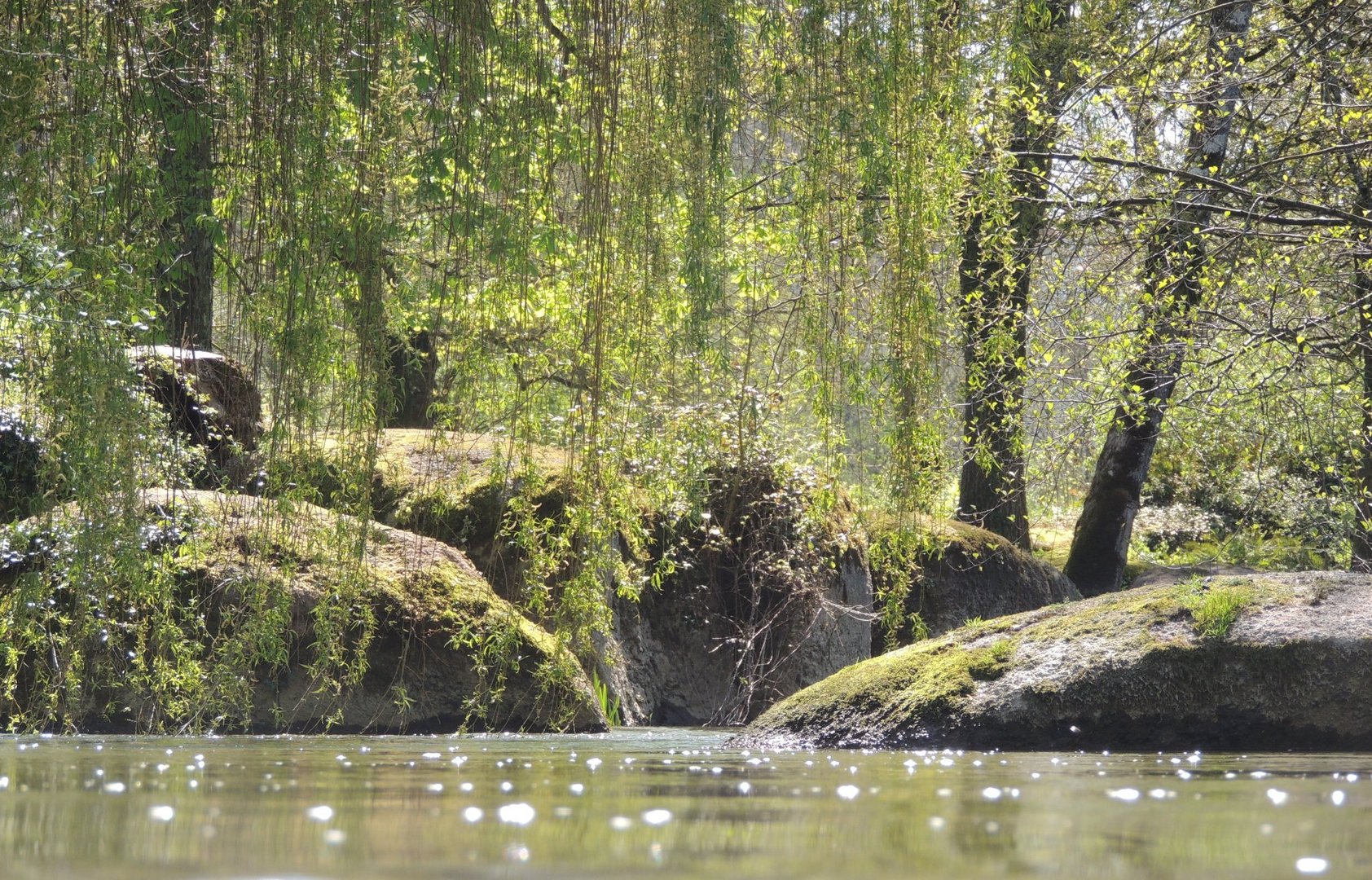 Au ras de l'eau