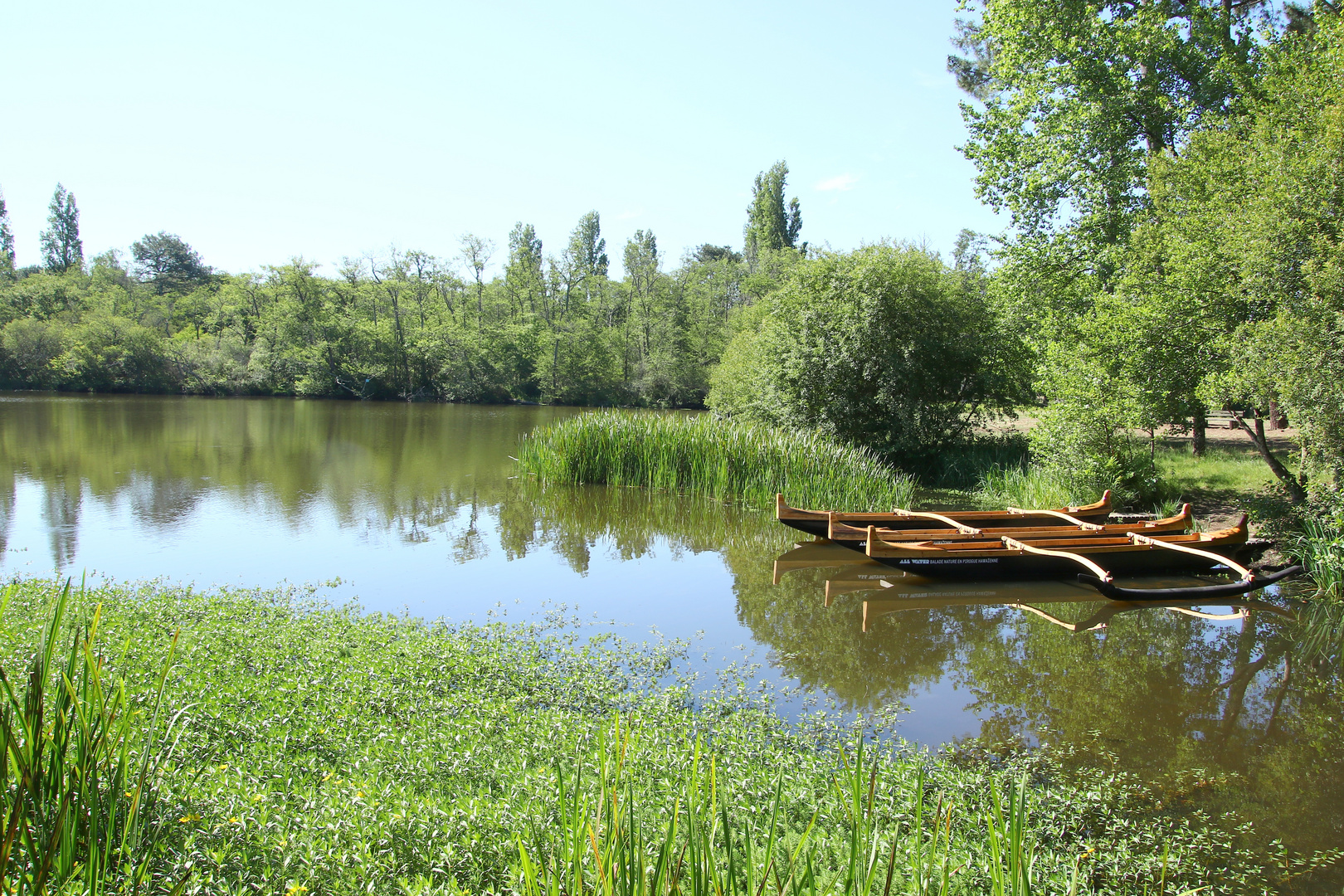 Au repos !!!