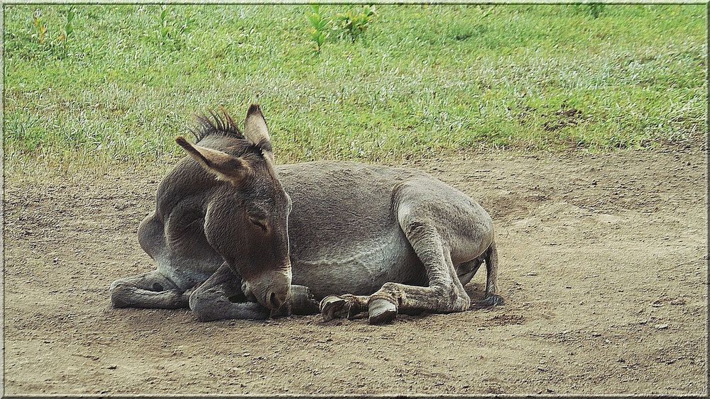 ..Au repos..