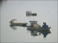 ..Au repos, près des parcs à huitres (56)..