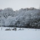 Au réveil du 2 janvier, belle surprise !!!