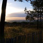 Au revoir au Bassin de Marennes-Oléron… ! - Auf Wiedersehen dem Marennes-Oléron Becken…!