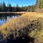 Au revoir, Etang de la Gruère!