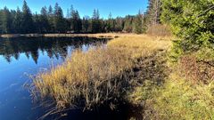 Au revoir, Etang de la Gruère!