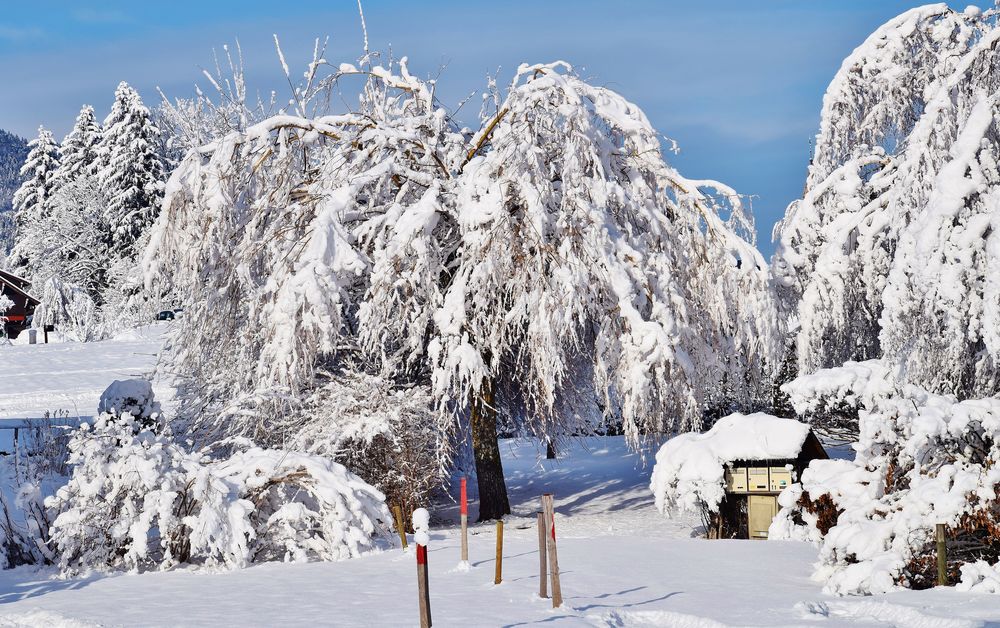 Au revoir l'hiver........