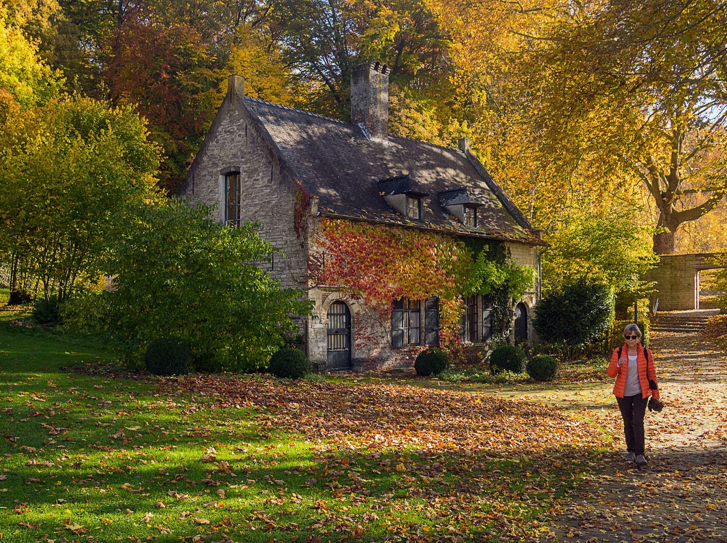 Au Rouge-Cloître en forêt de Soignes