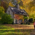 Au Rouge-Cloître en forêt de Soignes