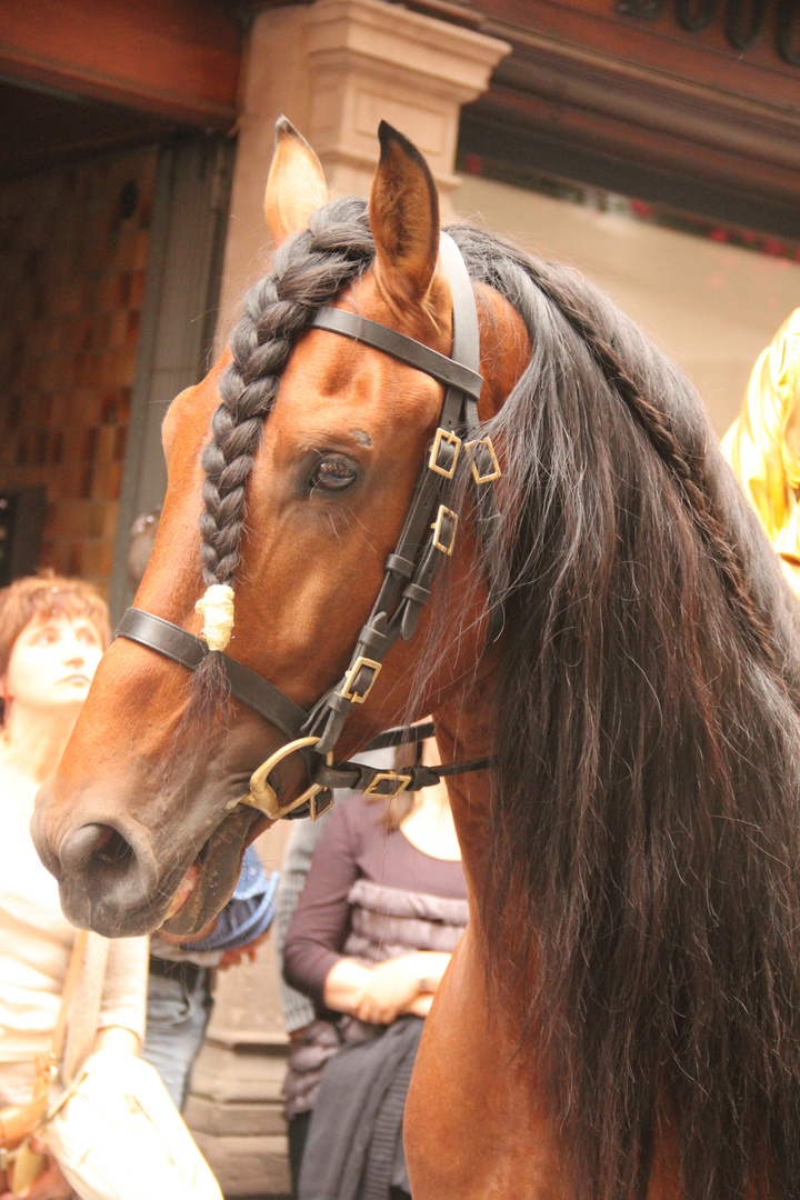 au salon du cheval à Offenburg