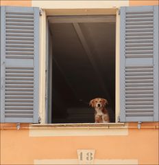 Au secours je veux sortir 